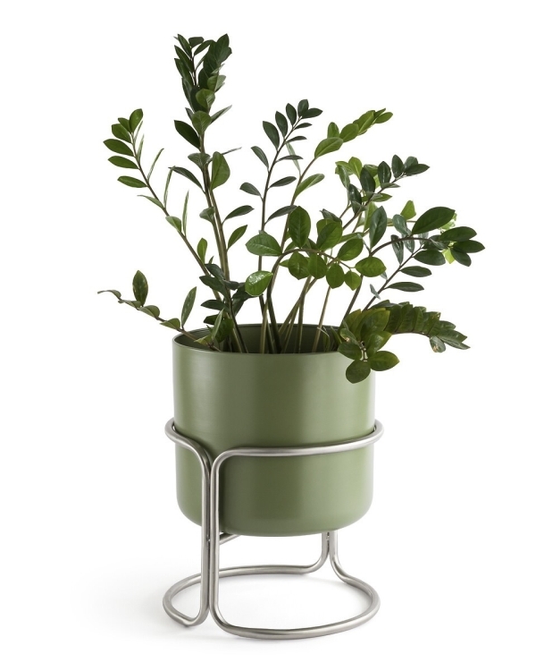 Цвет Нового года 2025 — зеленый. Выбираем декор