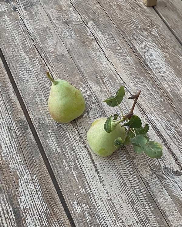 Почему возникает чувство одиночества и как с