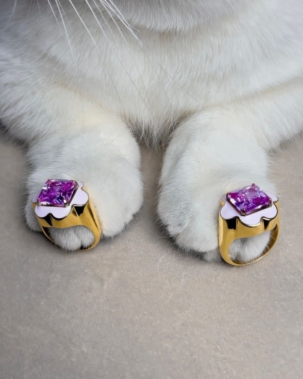 «Успеть за 24 часа», или 15 подарков,