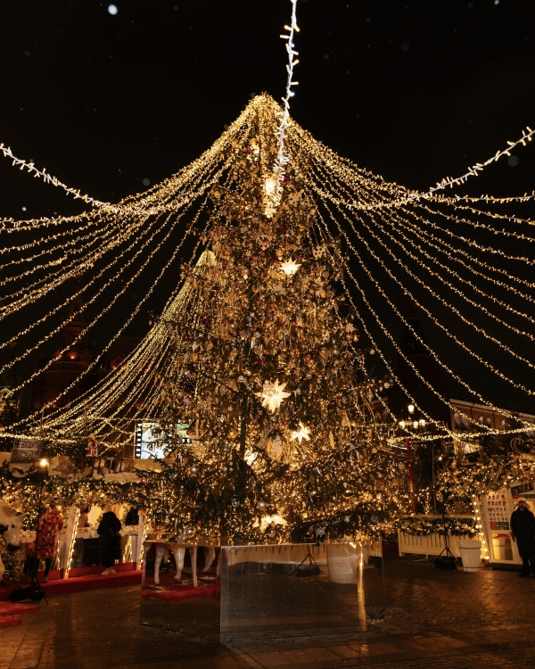 Зиме дорогу! Как прошло открытие предновогоднего фестиваля