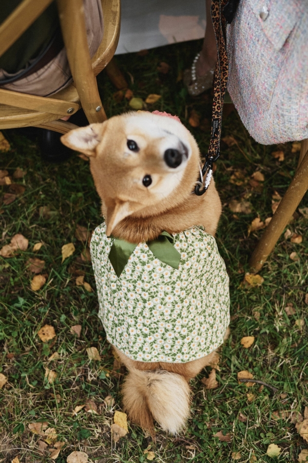 Интервью с невестой: о вдохновении фольклором, современной