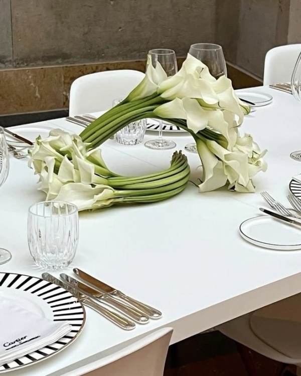 Cloud Dancer — цвет 2026 года по