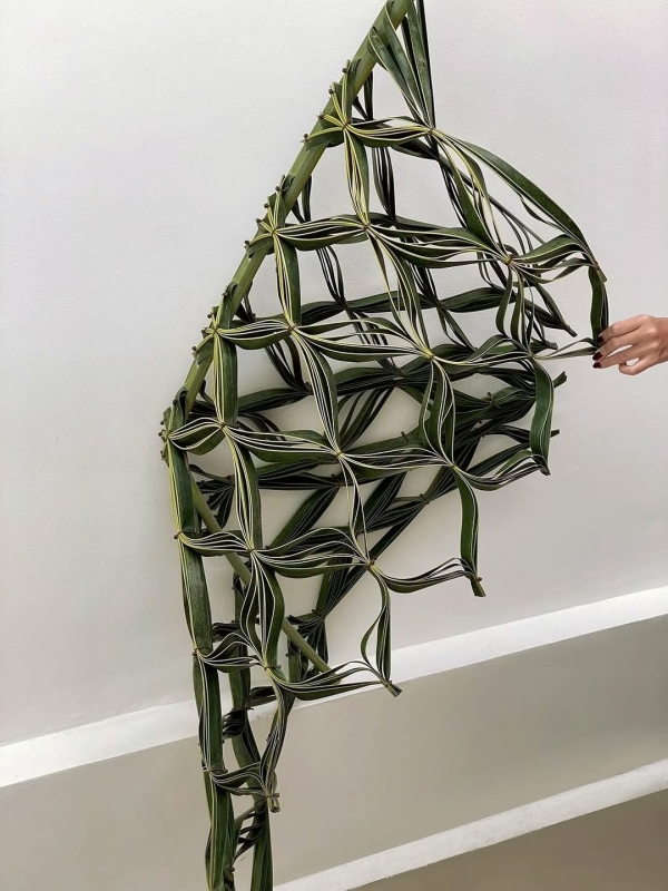 За какими азиатскими флористами нужно следить для