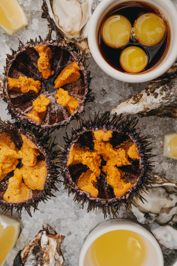 Площадки ENO Bistro