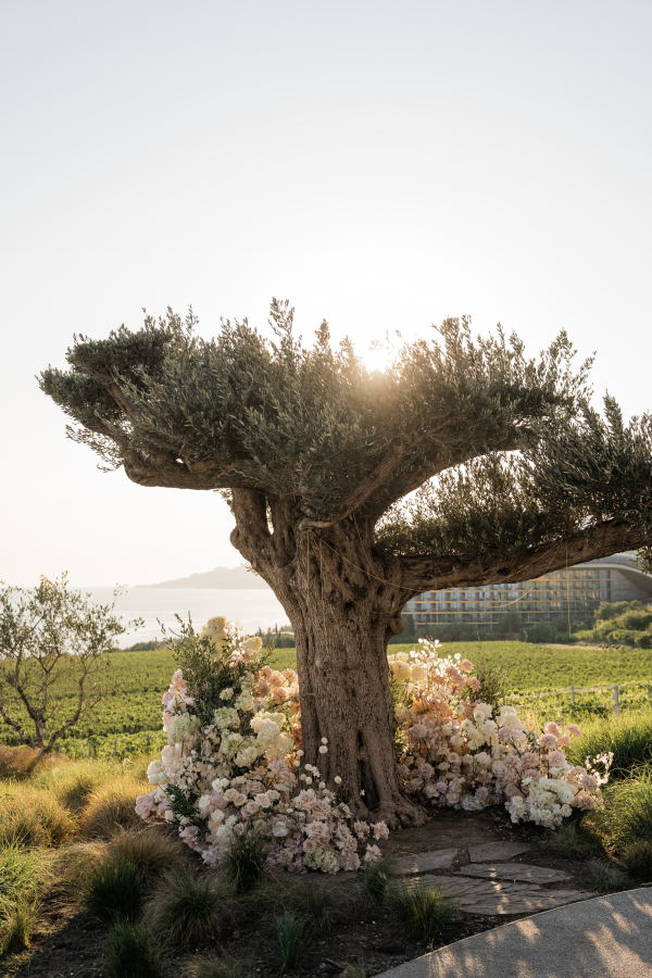 Площадки Курорт Мрия