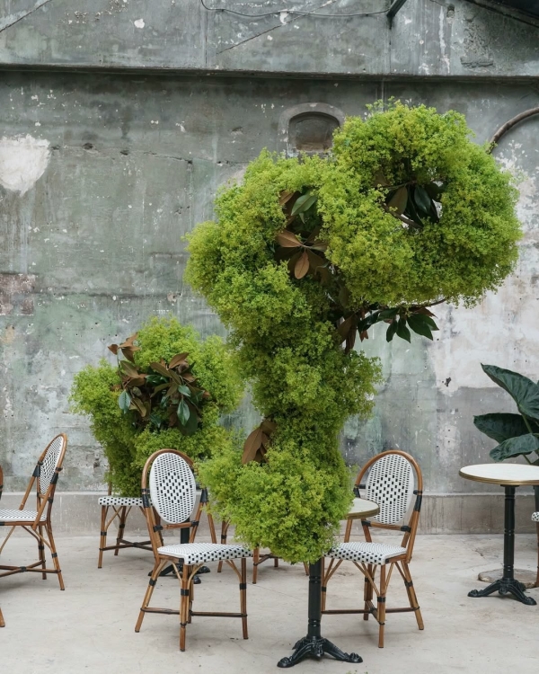 За какими азиатскими флористами нужно следить для