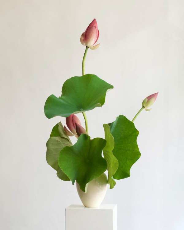 За какими азиатскими флористами нужно следить для