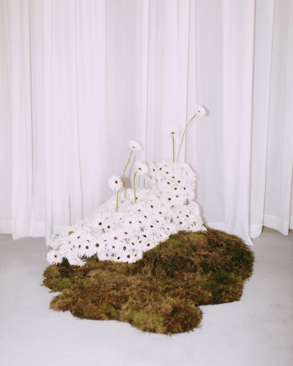 Cloud Dancer — цвет 2026 года по