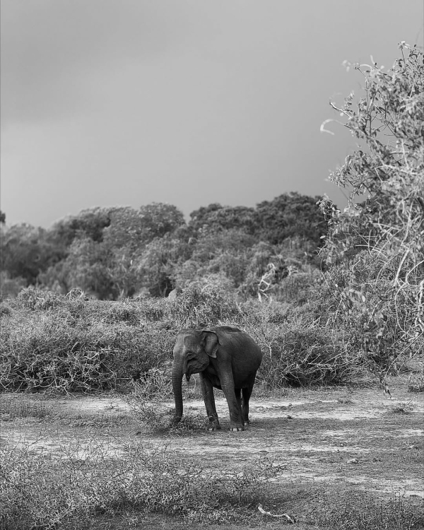 Куда улететь в последний момент на Новый
