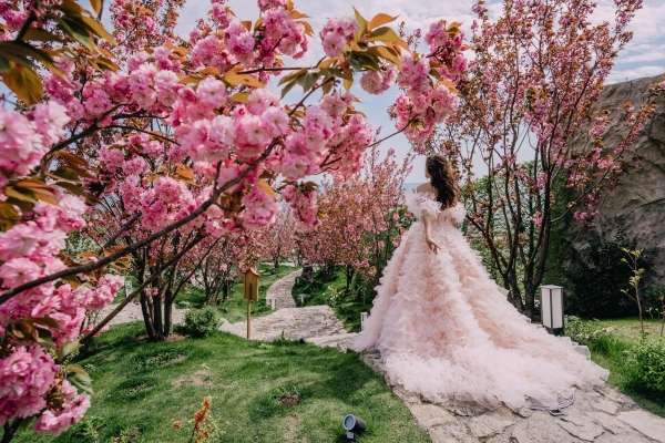 Площадки Курорт Мрия