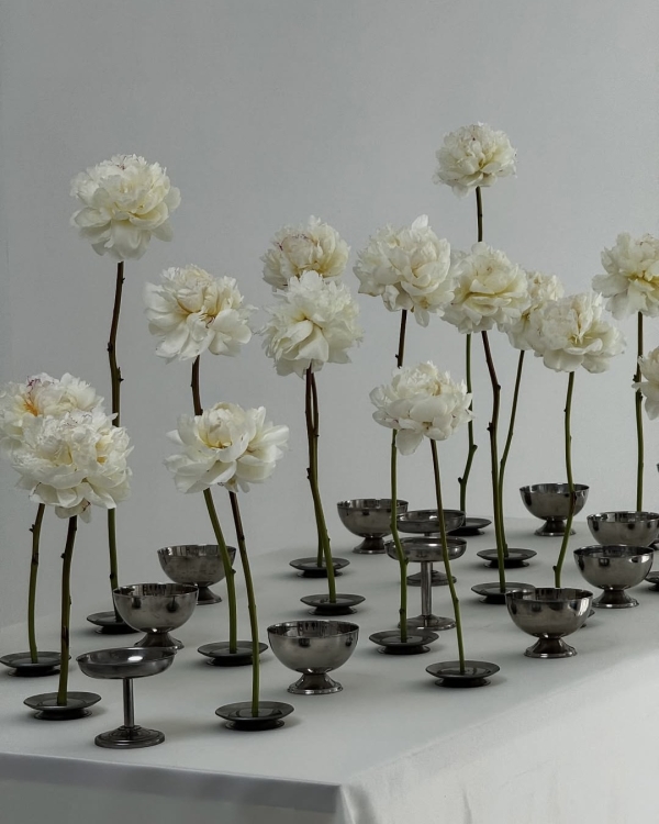 Cloud Dancer — цвет 2026 года по