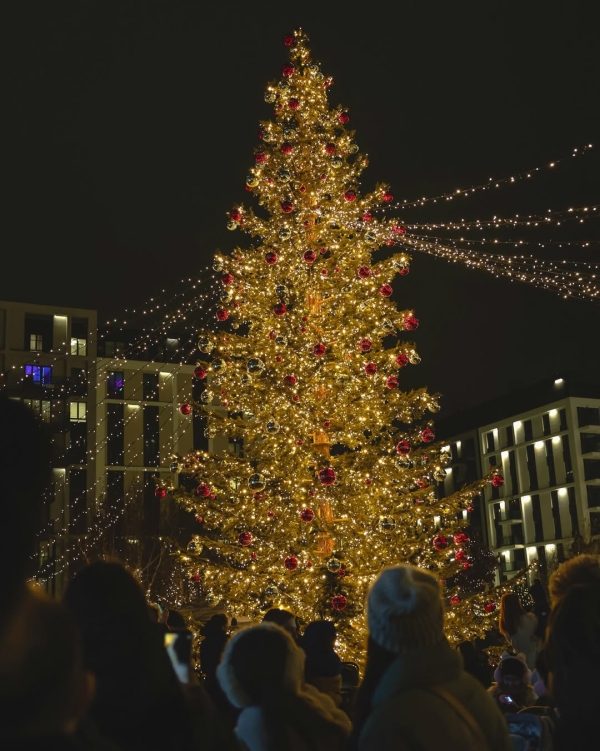 Куда улететь в последний момент на Новый