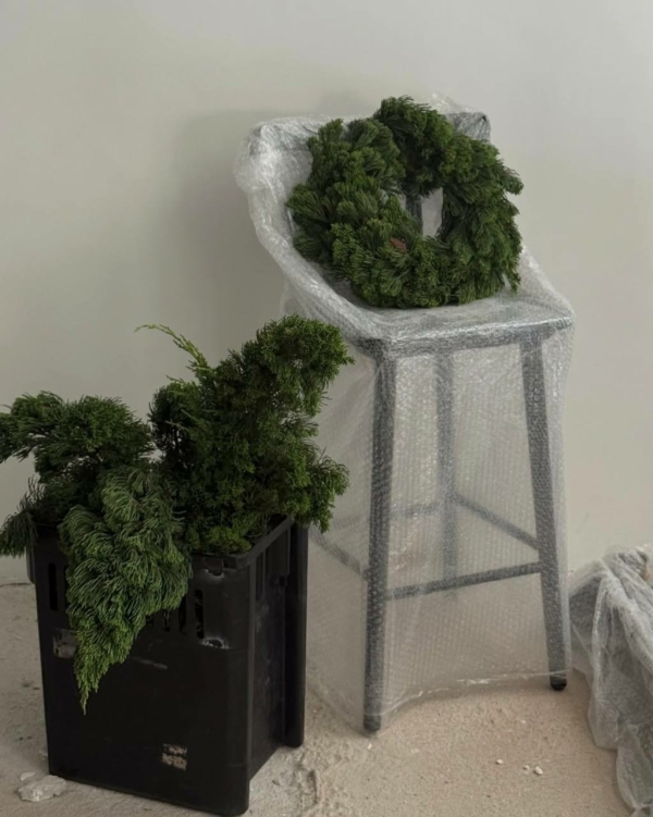 Где купить живую елку в Москве в