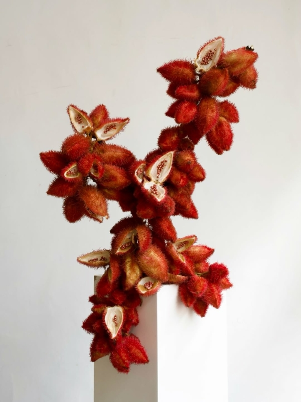 За какими азиатскими флористами нужно следить для