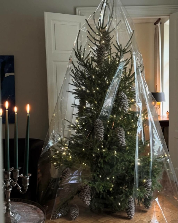 Где купить живую елку в Москве в