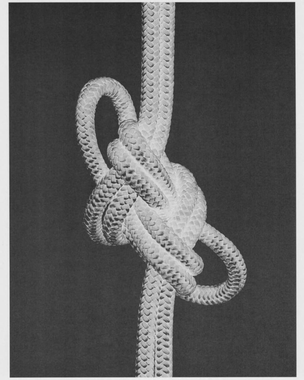 Time to Love: любовный гороскоп — 2026