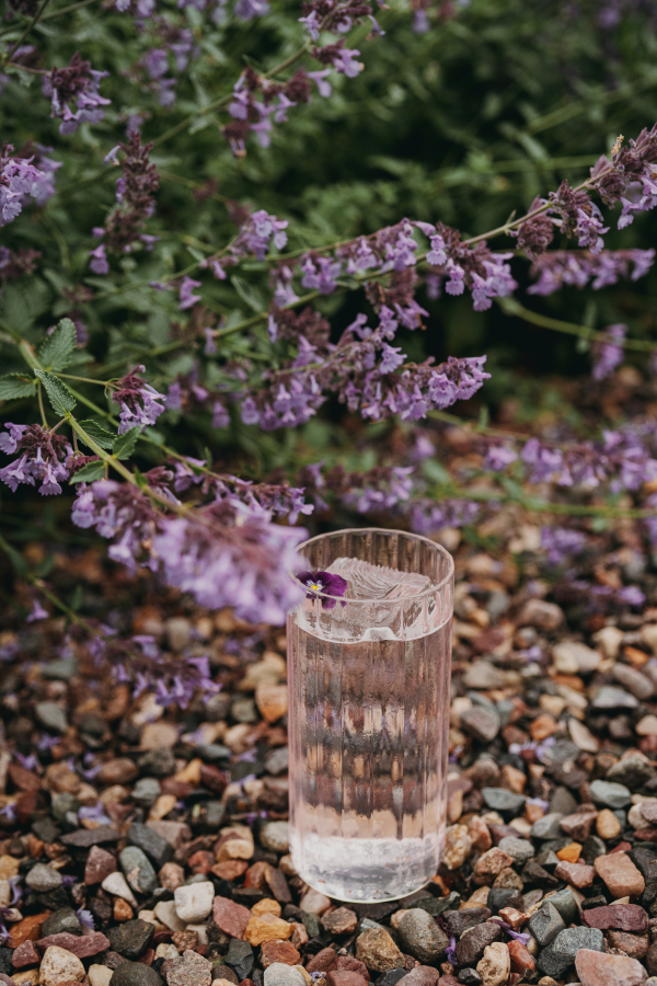 Площадки ENO Bistro