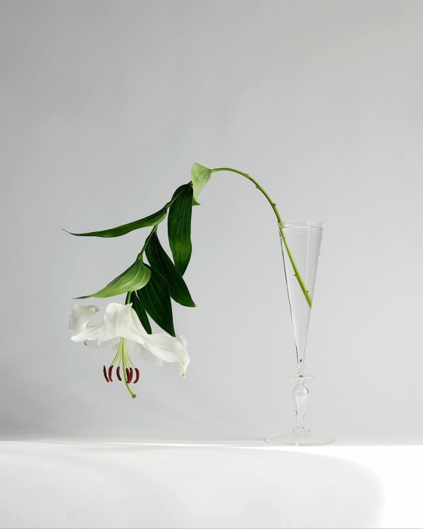 За какими азиатскими флористами нужно следить для