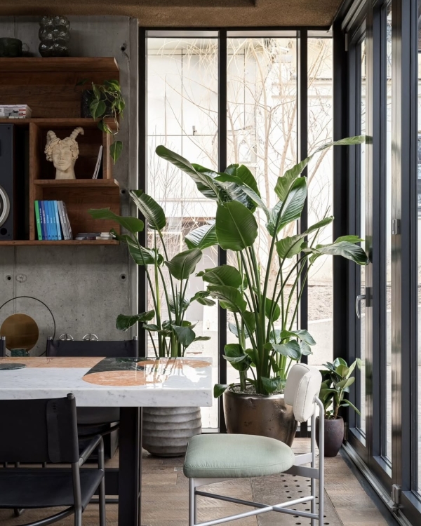 30 новых мест, которые открылись в 2025