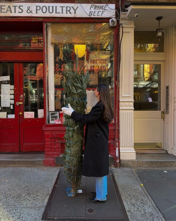 Где купить живую елку в Москве в