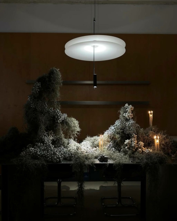 Где купить живую елку в Москве в