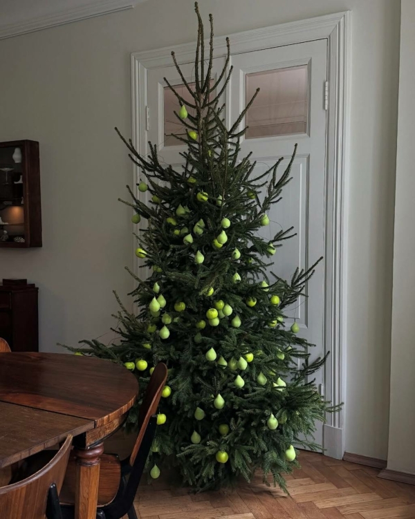 Где купить живую елку в Москве в