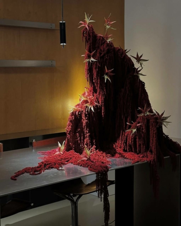 Где купить живую елку в Москве в