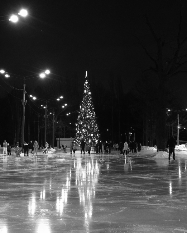 «Давай на каток?»: Гид по главным каткам