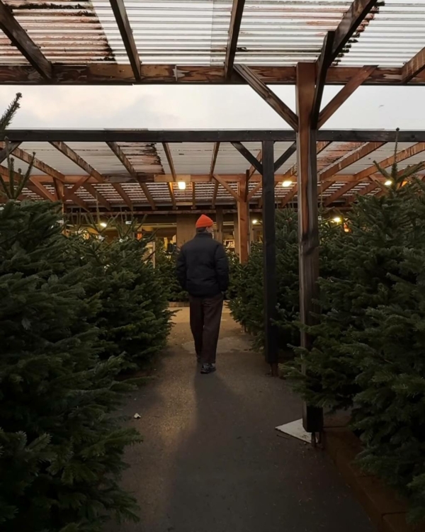 Где купить живую елку в Москве в