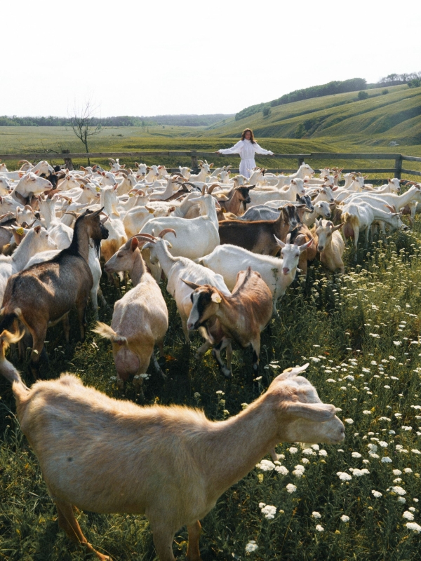 Вдохновение фермерской эстетикой и кампейнами Jacquemus в творческой