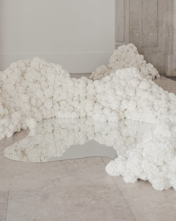 Cloud Dancer — цвет 2026 года по