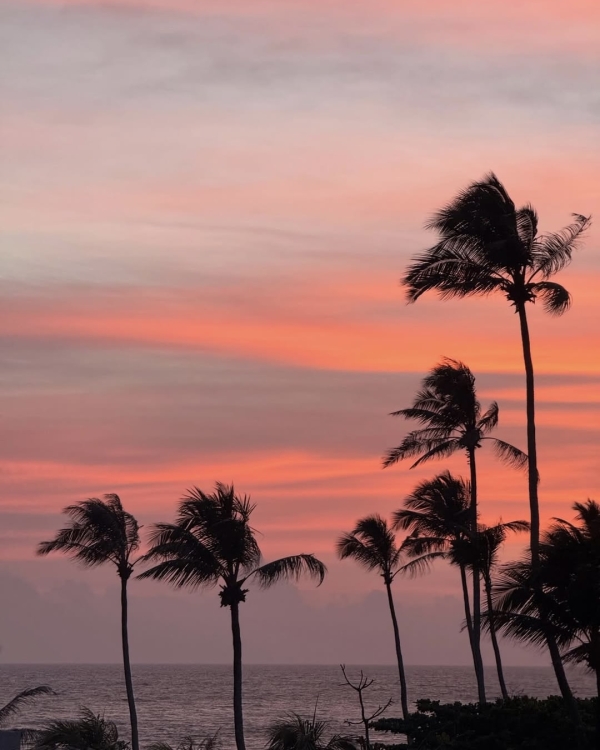 Куда улететь в последний момент на Новый