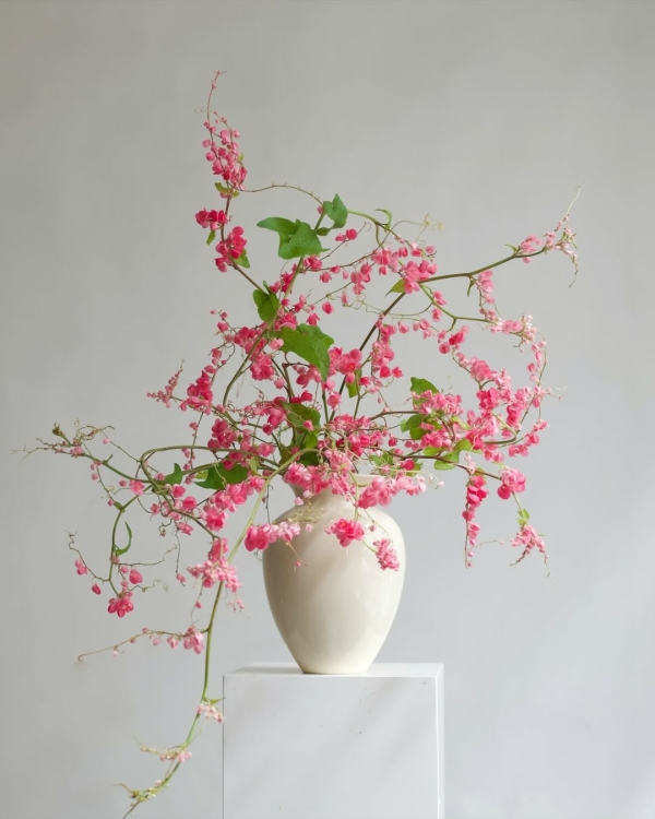 За какими азиатскими флористами нужно следить для