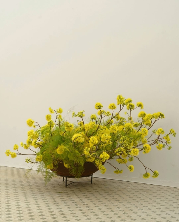 За какими азиатскими флористами нужно следить для