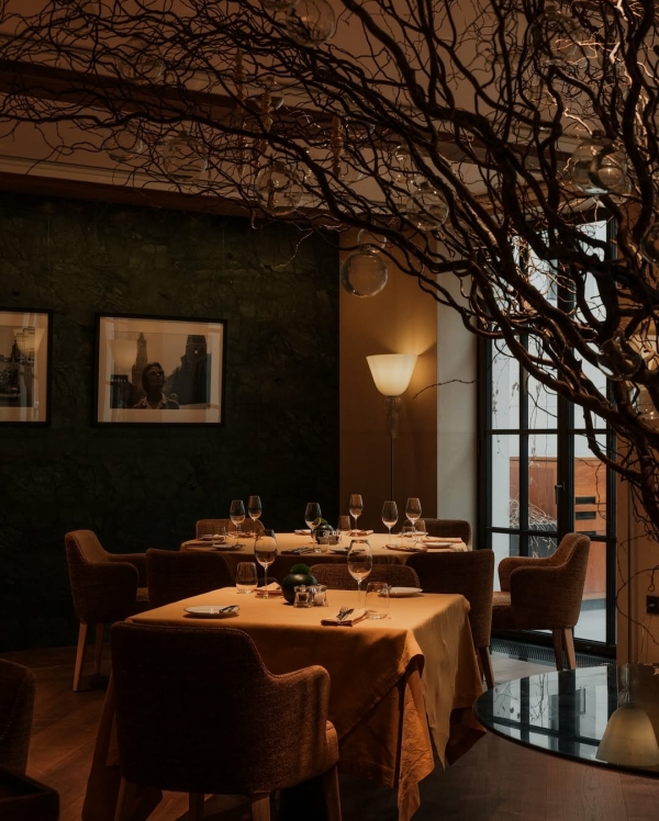 Новогодняя программа 2026 в лучших отелях Москвы