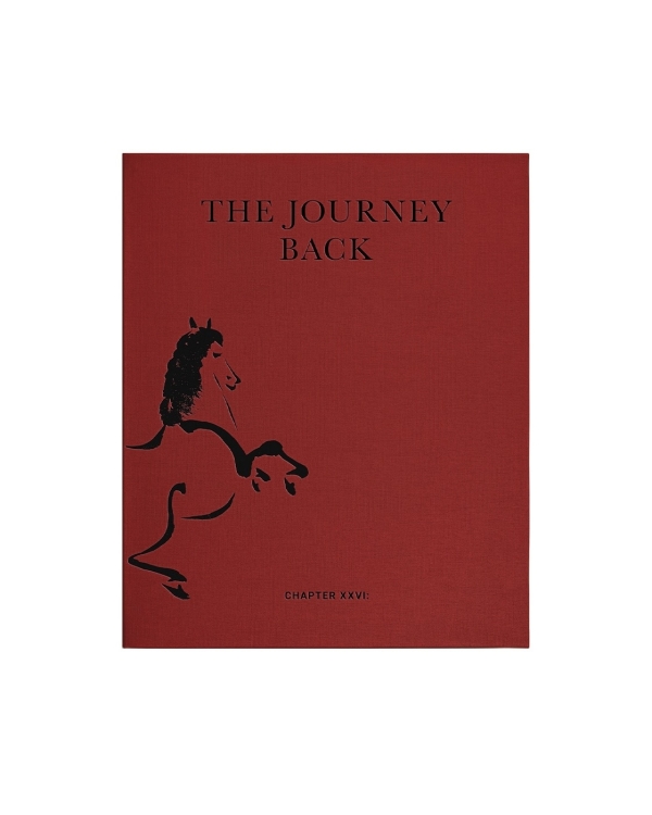 50 классных подарков с лошадью — символом