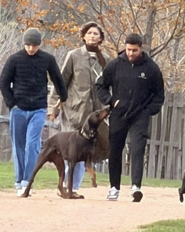 Зендея и Том Холланд ждут ребенка?