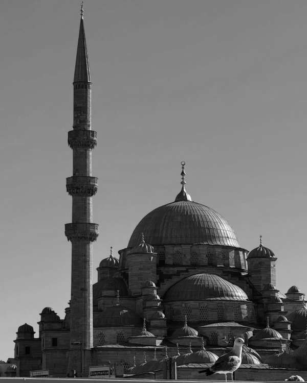 Куда улететь в последний момент на Новый