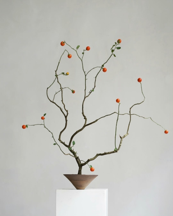 За какими азиатскими флористами нужно следить для