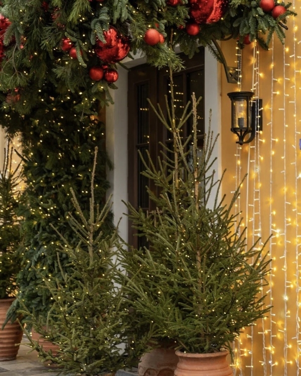 Рестораны Москвы для встречи Нового года 2026