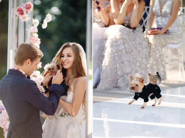 Та самая сказка