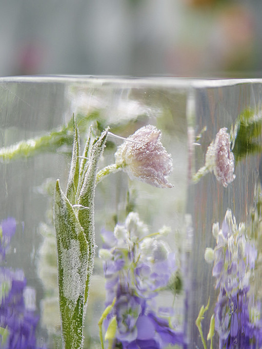 Летняя свадьба в окружении льда