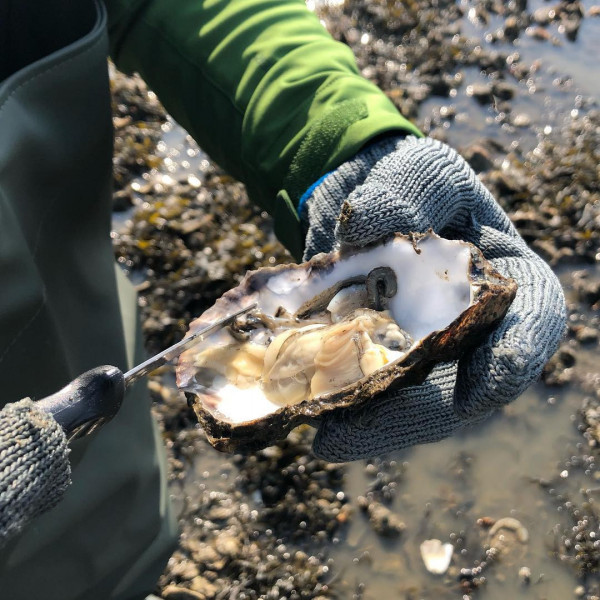 Все о свадьбах Hotel d'Angleterre в Копенгагене