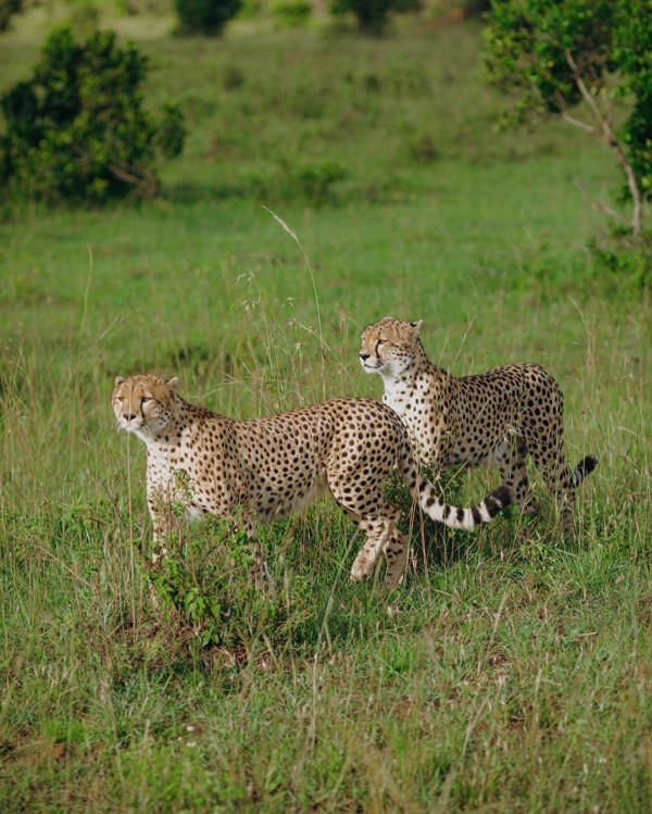 Свадьба в Африке: история реальной невесты