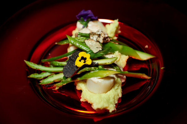 Кейтеринг Novikov Catering