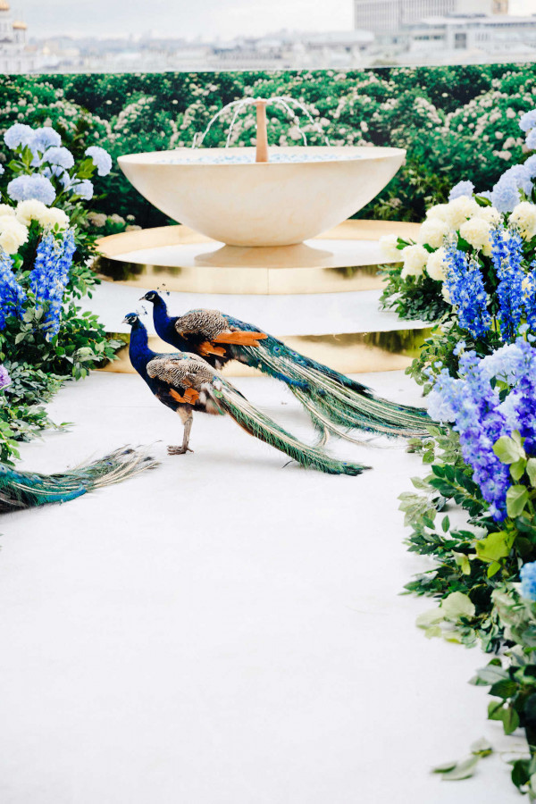 Яркая свадьба в нежно-лавандовых оттенках