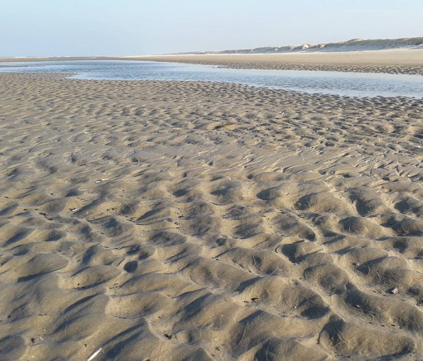 Все о свадьбах Hotel d'Angleterre в Копенгагене