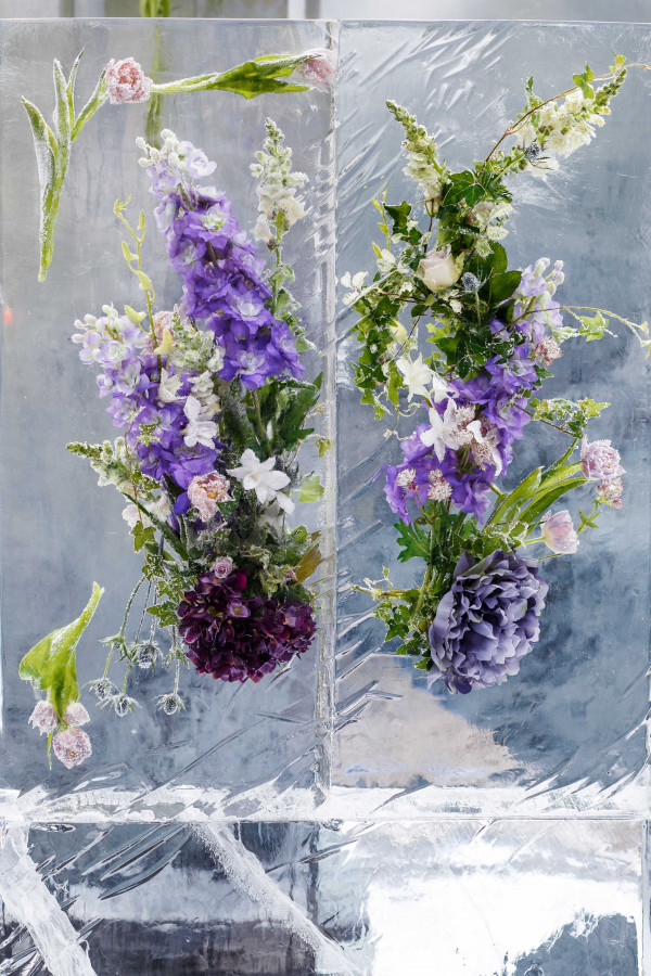 Летняя свадьба в окружении льда