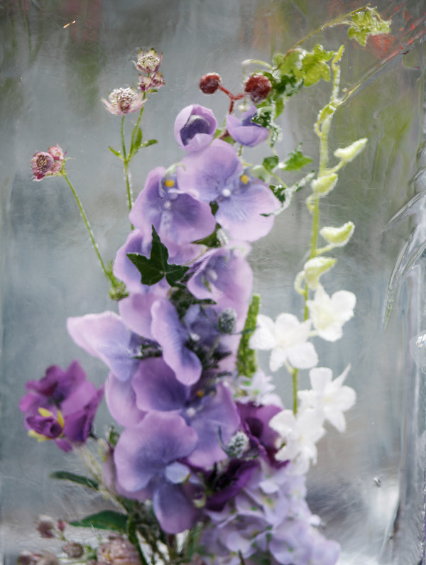 Летняя свадьба в окружении льда