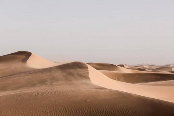 «Шаг за шагом я рассказываю историю», —